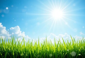 Fototapeta premium A close-up of green grass with a blurred background of a sunny blue sky