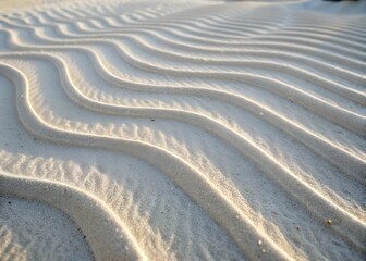 Smooth beech texture with fine grain and light for natural wood design