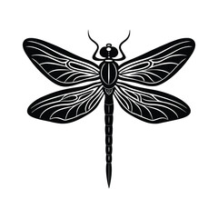 Dragonfly silhouette isolated on white background