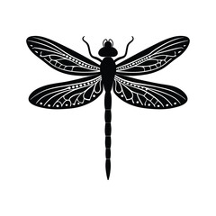Dragonfly silhouette isolated on white background
