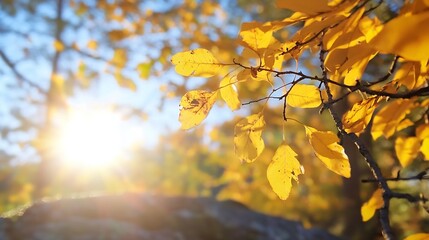 Warm golden rays of sunlight filter through vibrant autumn leaves creating a cozy atmosphere : Generative AI