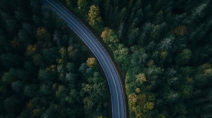 Aerial view of winding road through vibrant forest showcasing nature's autumn colors and beauty : Generative AI