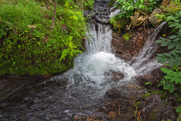 Inflated Inner Tubes Floating on River Stream for Recreation