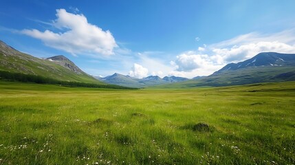 Fototapeta premium Vast green meadow surrounded by majestic mountains and blue sky with fluffy clouds above : Generative AI