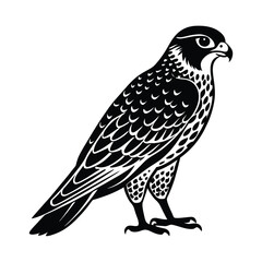Falcon silhouette isolated on white background