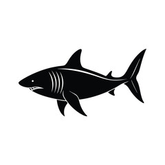 Shark silhouette isolated on white background