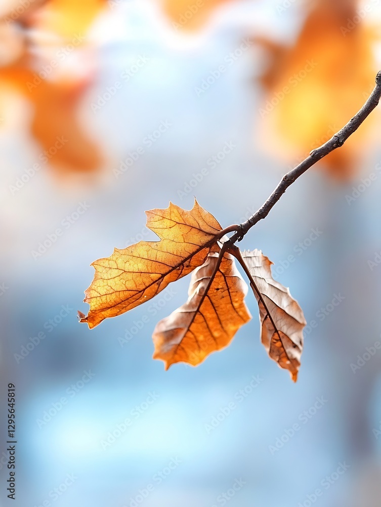 Poster CloseUp of Autumn Leaves on a Branch with Blurred Background : Generative AI