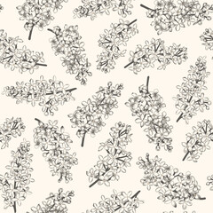 Seamless pattern with blooming lilacs. Flowering background.Vector botanical floral print. Black color.