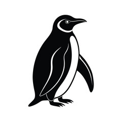 Penguin silhouette isolated on white background