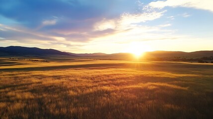 Fototapeta premium Stunning Sunset Over Golden Fields Under Bright Sky in Tranquil Landscape : Generative AI
