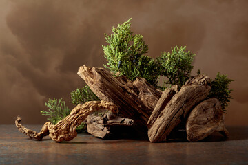 Snags and juniper branches with berries.