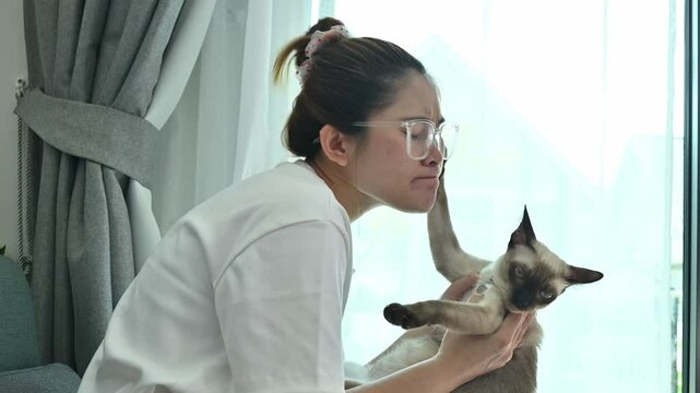Young Asian woman want to play and kiss her Siamese cat but the cat doesn't like to play. The Siamese cat is one of several varieties of cats native to Thailand.