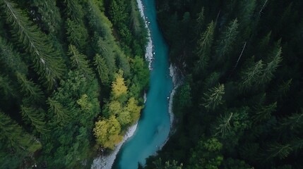 Aerial view of a winding river flowing through lush green forest showcasing natural beauty : Generative AI