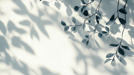 Shadowy leaf branches and leaves cast on a light wall.
