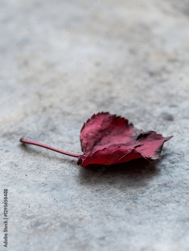 Poster Single dried red leaf lying on a gray textured surface representing autumn and nature : Generative AI