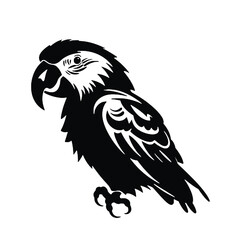 Parrot silhouette. Parrot vector design. Parrot logo, icon black and white.
