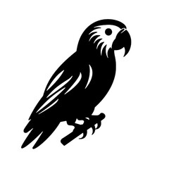 Obraz premium Parrot silhouette. Parrot vector design. Parrot logo, icon black and white. 