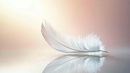 Fototapeta premium Single white feather with reflection on a soft pink and white background.