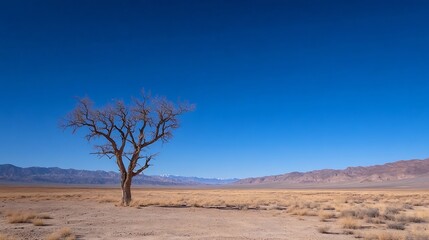 Lonely tree standing resilient in a vast dry desert landscape under a bright blue sky : Generative AI