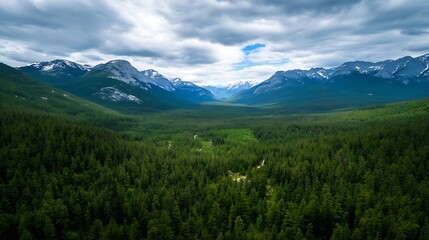 Fototapeta premium Breathtaking aerial view of mountains and lush green forest under cloudy sky : Generative AI