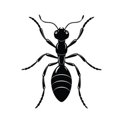 Ant silhouette isolated on white background