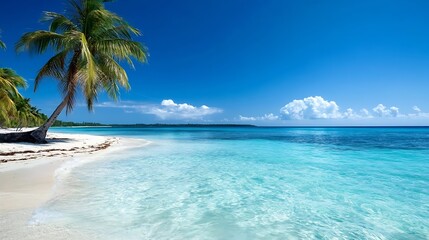 Tropical Beach Scene with Palm Trees and Clear Turquoise Water Under a Bright Blue Sky : Generative AI