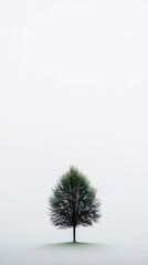 Obraz premium serene landscape, open field with a single tree, misty morning, soft pastel sky, vast negative space, tranquil nature, poetic simplicity, artistic solitude, peaceful and calming scene, fine art