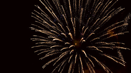 festive fireworks in the night black sky