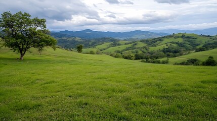 Obraz premium Vast Green Rolling Hills Under Bright Cloudy Sky in Serene Countryside : Generative AI