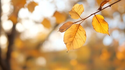 Obraz premium CloseUp of Autumn Leaves in Beautiful Warm Honey Color : Generative AI