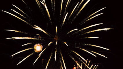 holiday flash of colorful fireworks in the black night sky
