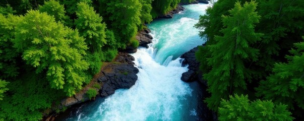 Aerial view of rushing river rapids cutting through lush green forest canopy, motion, wild, untamed
