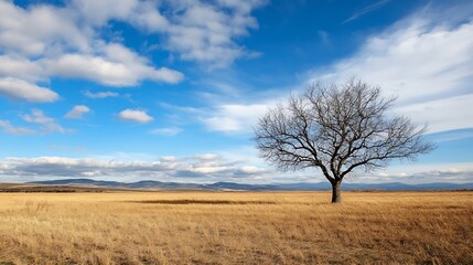 Obraz premium Isolated tree in vast field under a dramatic blue sky with fluffy clouds creating a peaceful atmosphere : Generative AI