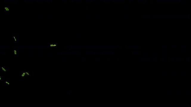 Shamrock Transitions is alpha motion footage for calibration films and religion cinematic in st patrick scene. Also good background for scene and titles, logos.