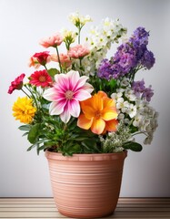 Fototapeta premium Beautiful potted flowers in bloom garden decor 