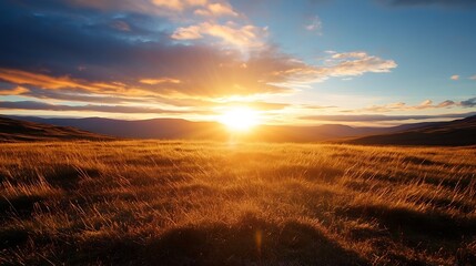 Fototapeta premium Breathtaking view of sunrise illuminating the horizon over vast grassland with soft golden colors : Generative AI