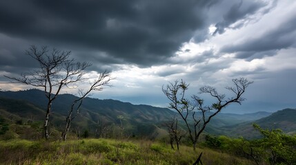 Scenic View of Mountain Ridge under Dark Stormy Clouds with Dry Trees : Generative AI