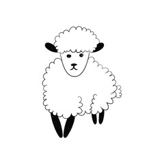 Funny white and black sheep animals doodle. vector hand drawn sheep line drawing. black outline on a transparent background. vector illustration