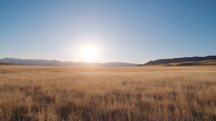 Wide open field under a clear blue sky with the sun setting on the horizon : Generative AI