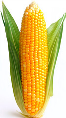 A vertical full corn, pure white background, product photography, fresh 4k, high resolution