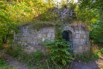 Bilder aus dem Selketal  Burgruine Anhalt