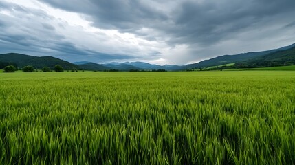Obraz premium Vast green field under a moody sky with threatening clouds and mountains in the background showcasing natural beauty : Generative AI