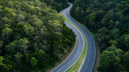 Fototapeta premium Winding Road Through Lush Green Forest in Scenic Nature Landscape : Generative AI