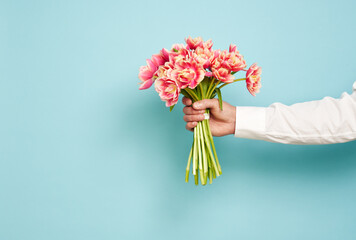 Romantic man presents a bouquet of tulips on an isolated blue background, Valentine's Day, March 8