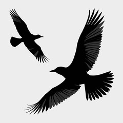 A black and white silhouette of two birds flying in the sky with spread wings and detailed feather patterns