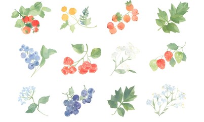 Set forest berries, on a white background, Generative AI