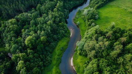 Aerial view of lush green landscape with a winding river flowing through a forested area : Generative AI
