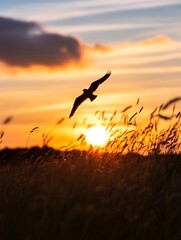 Majestic bird soaring through the sunset sky with golden hues and tall grass in the foreground : Generative AI