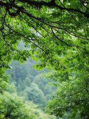 Fototapeta premium Lush green foliage with leaves framing a serene nature scene : Generative AI