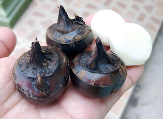 Waternut, also known as Chinese water chestnut or Matai, is a tropical plant with crisp, white flesh and a mildly sweet, nutty flavor. It can be eaten raw or used in a variety of dishes.
